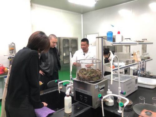 科技赋能农业新篇章 CCTV 1聚焦云谷田园LED植物工厂，珍稀本草金线莲成功培育引领生物技术新服务