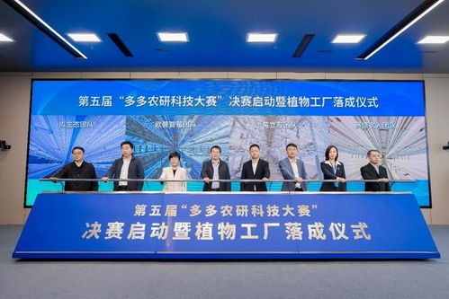 光伏储能与AI精控赋能 青年科学家如何破解草莓植物工厂痛点