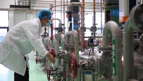 责任民企显担当，靠上服务助复产——泰安生物技术企业驰援抗疫一线